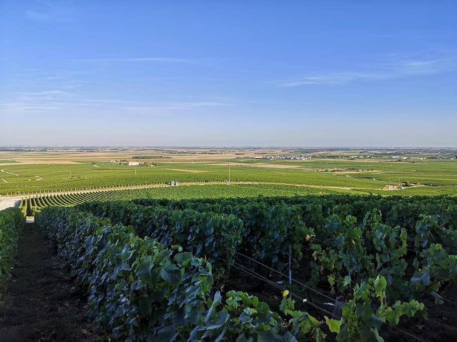 Gite "La Bulle De Lena" Avec Petit-Dejeuner Garage Et Parking Flavigny Exterior foto
